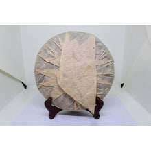 1990's Tong Qing Hao- Longma Brown label Sheng Pu-erh
