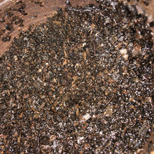1970’s Royal Tibetan House Pu-erh Tea Powder blend