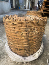 1980's Liu Bao Private Storage 33kg Gold Label  Shan Yuan Du Lao Liu Bao Tea PremiumLeaf tips