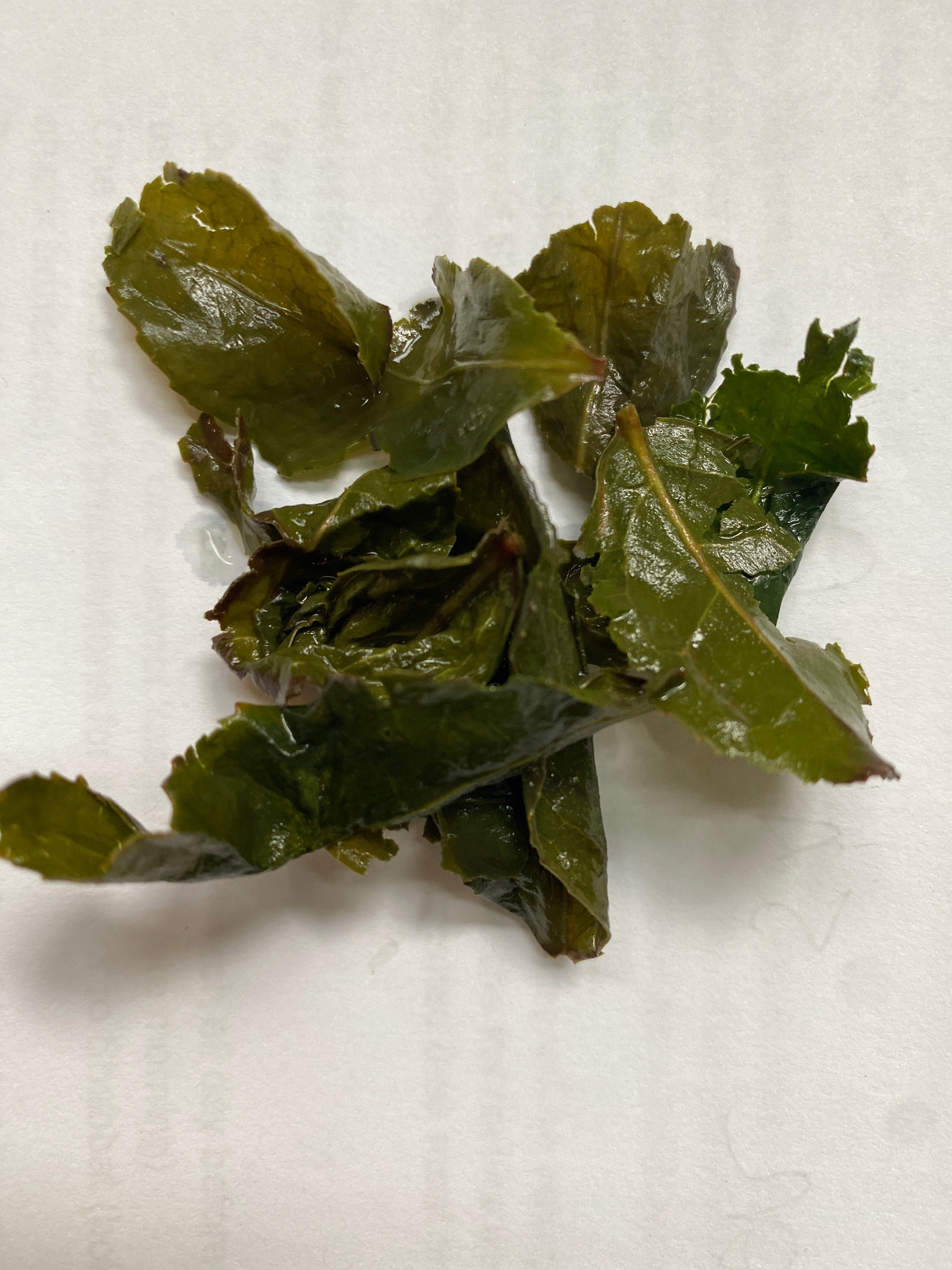 2024 Royal Anxi Tieguanyin Oolong (Wulong)