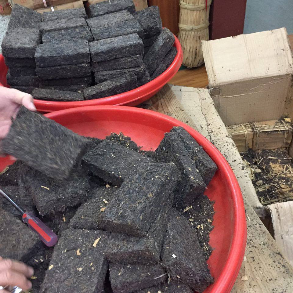 1980's Longzhu Pu-erh Sheng (Raw) Zuncha Brick 220g