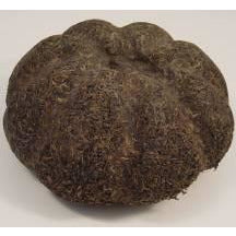 5 Kilo 1998 Golden Melon Tuocha