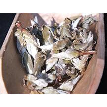 2021 Wild White Pu-erh Tea Buds