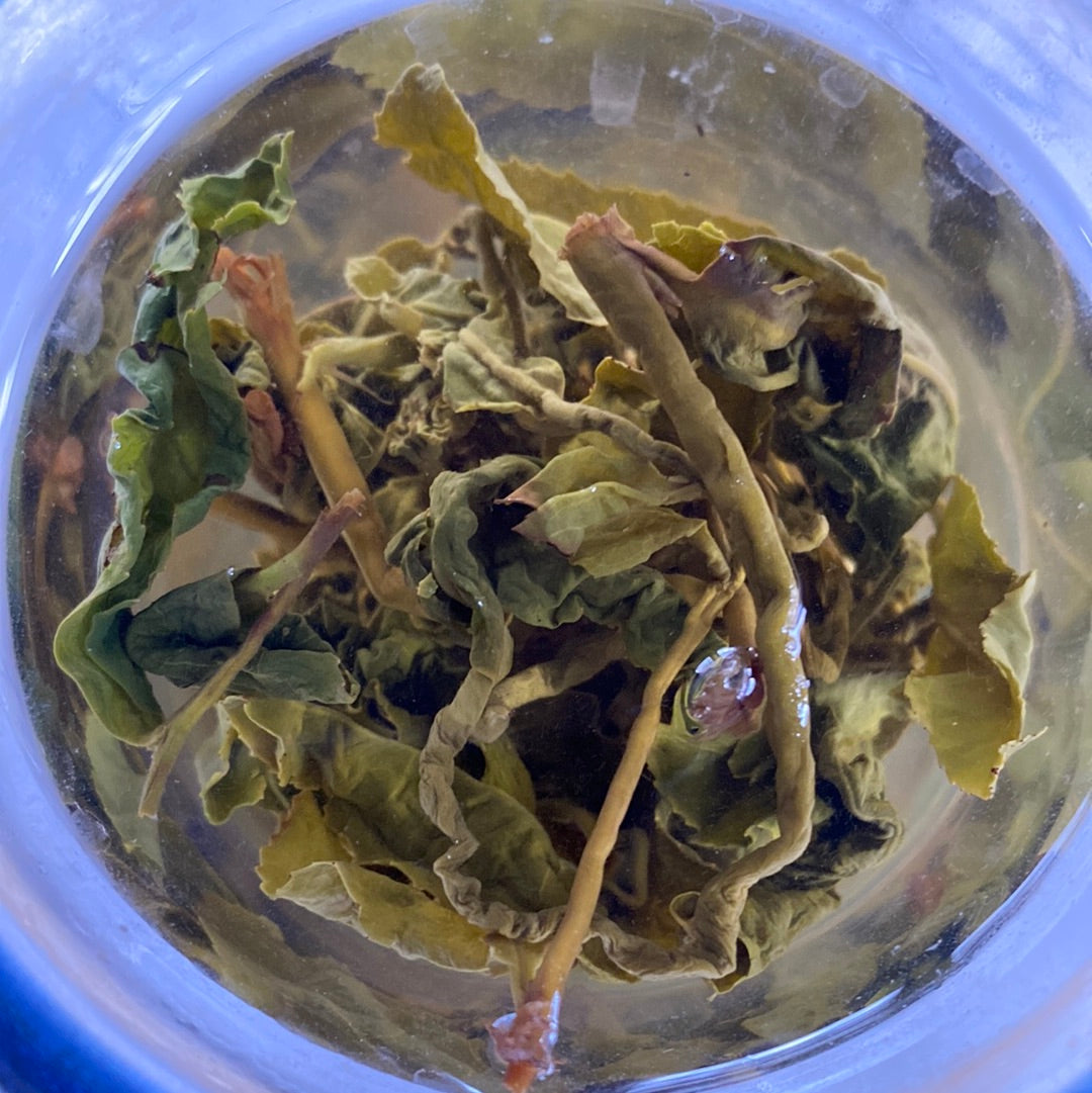 2022 Da Yu Ling Taiwan High Mountain Oolong Special Grade