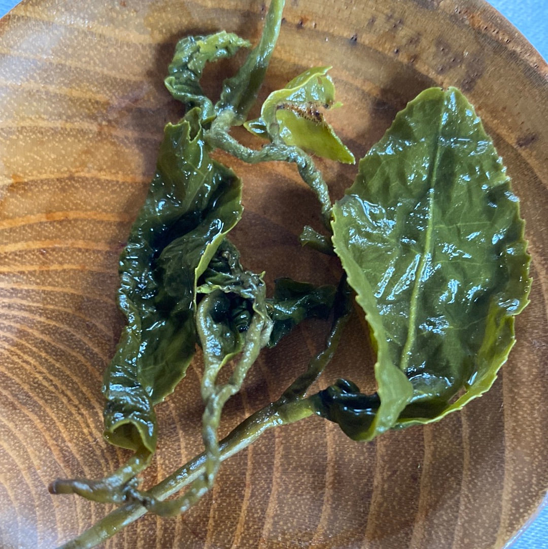 2022 Da Yu Ling Taiwan High Mountain Oolong Special Grade