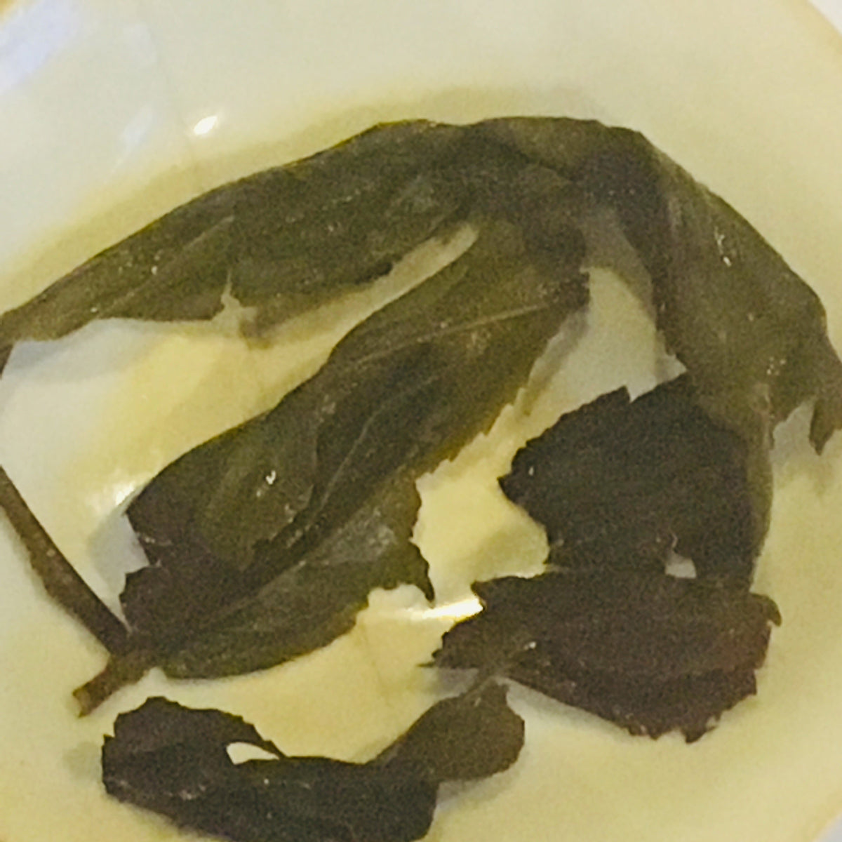 2021 Wild Da Hong Pao Wuyi Rock Oolong Tea (Long Red Robe)